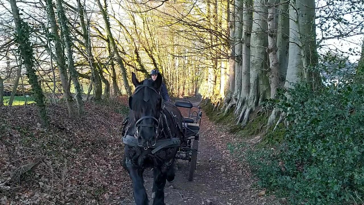 Eco-Gite La Chambre Du Vanneur Mentheville 외부 사진